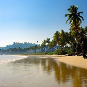 나 팔리 해안 주립공원