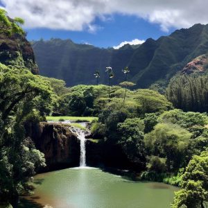 와이메아 협곡 주립공원