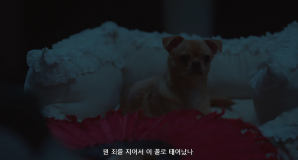 아씨두리안 오이지