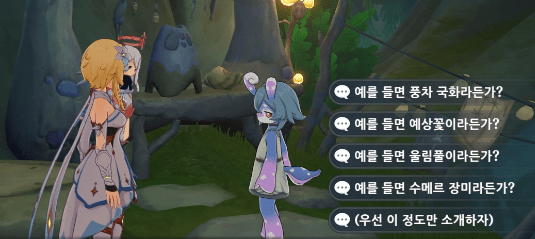 코슨제니아 꽃 선택