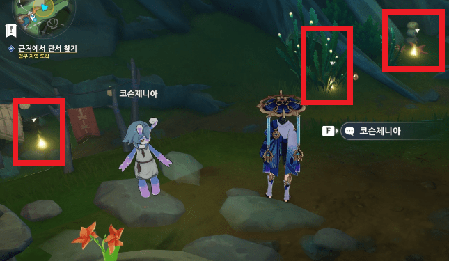 코슨제니아 꽃 원인 찾기