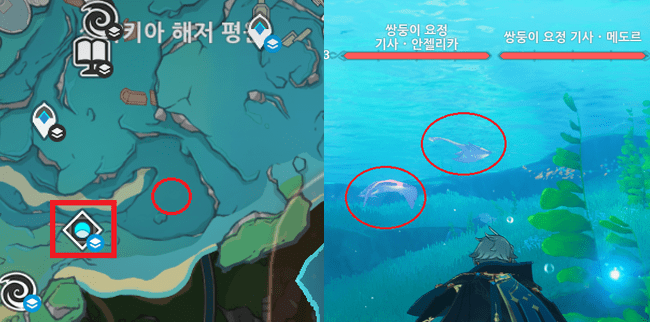 쌍둥이 요청 기사 안젤리카&메도르