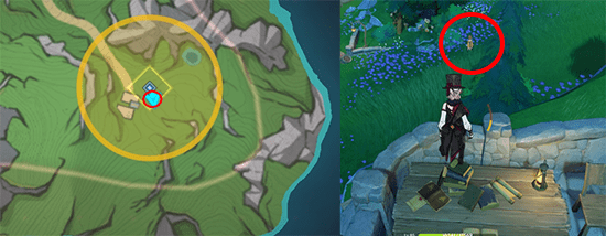 블랑쉬 찾기 위치