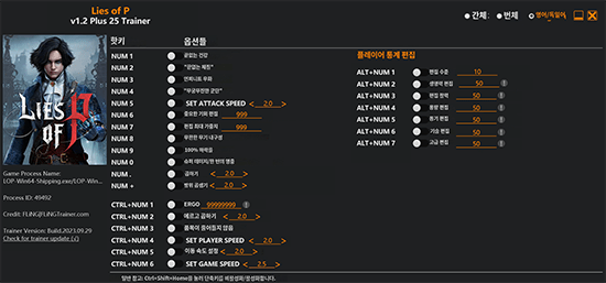 P의 거짓 트레이너