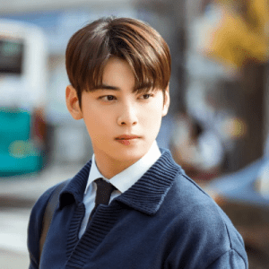 진서원(배우 차은우)
