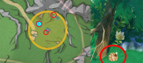 순수한 솔방울 5개 위치