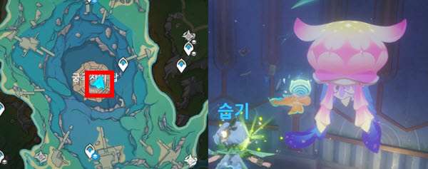 샤사니언 위치