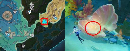 프리먼의 선언 조개 위치