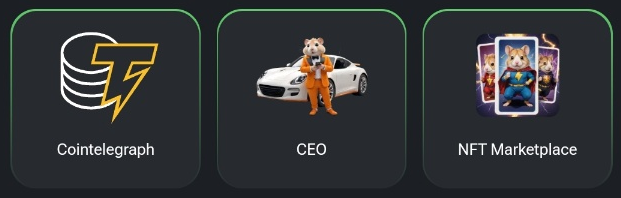 햄스터컴뱃 데일리콤보