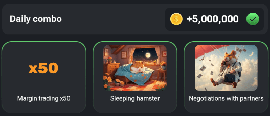 Hamster Kombat Daily combo August 24