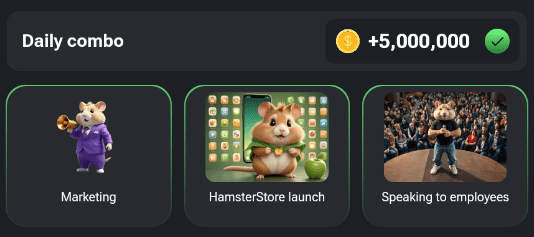 Hamster Kombat Daily combo August 30