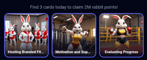 Rocky Rabbit Daily Combo