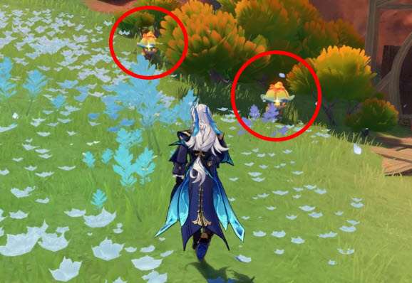 신선한 촛불 버섯 2개